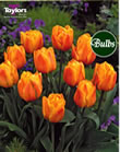 Freeman - Double Bedding Tulip Bulbs