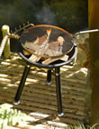 Tall Outdoor Firepit and Grill