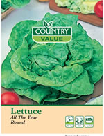 Country Value All The Year Round Lettuce Seeds