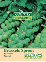 Country Value Evesham Special Brussels Sprout Seeds