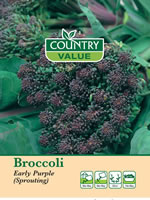 Country Value Early Purple Sprouting Broccoli Seeds
