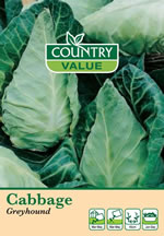 Country Value Greyhound Cabbage Vegetable Seeds