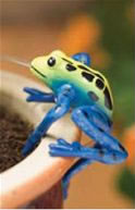 Frog Pot Hanger Dripper