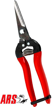 ARS Fruit Pruner - Pointed