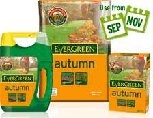 Evergreen Autumn Lawn Fertiliser