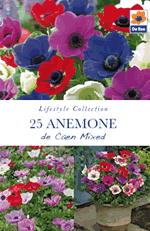 Anemone De Caen Mixed Lifestyle Collection Bulbs