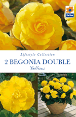 Begonia Double Mixed Lifestyle Collection Bulbs