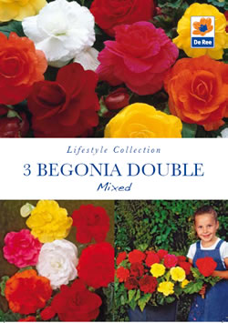Begonia Double Mixed Lifestyle Collection Bulbs