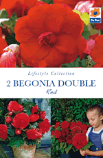 Begonia Double Red Lifestyle Collection Bulbs
