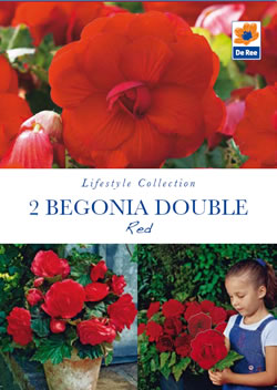 Begonia Double Red Lifestyle Collection Bulbs