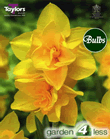 Daffodil Double Smiles Bulbs - Species Narcissi