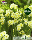 Narcissi Minnow Bulbs - XL Value Range