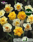 Daffodil Mixed Butterflies Bulbs - Butterfly Daffodils