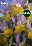 Oriental Beauty - Iris Bulb