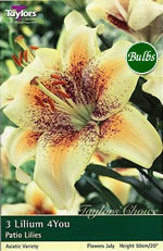 4You Patio Pot Lily Bulbs