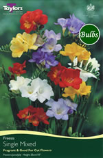 Mixed Single Freesias (Fragant) Bulb
