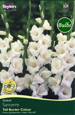 Sancerre-Large Flowering Gladioli Bulb