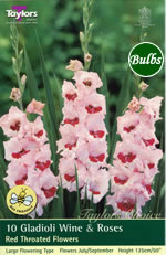 Wine and Roses -Large Flowering Gladioli Bulb