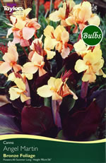 Angel Martin Canna Bulb