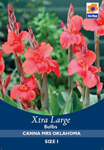 Canna Mrs Oklahoma Xtra Large Bulbs