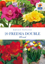 Freesia Double Mixed Lifestyle Collection Bulbs