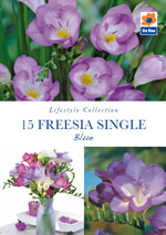 Freesia Single Blue Lifestyle Collection Bulbs