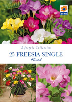 Freesia Single Mixed Lifestyle Collection Bulbs