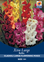 Gladioli Large Flowering Mixed Xtra Large Bulbs