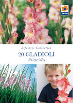 Gladioli Priscilla Lifestyle Collection Bulbs