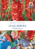 Gladioli Traderhorn Lifestyle Collection Bulbs