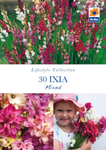 Ixia Mixed Lifestyle Collection Bulbs