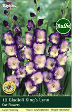 Kings Lynn Gladioli Bulbs