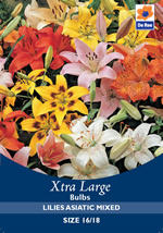 Lilies Asiatic Mixed Xtra Large Bulbs