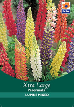 Lupins Mixed Xtra Large Bulbs