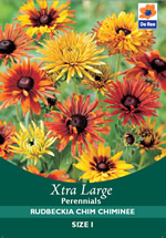 Rudbeckia Chim Chiminee Xtra Large Bulbs