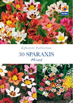 Sparaxis Mixed Lifestyle Collection Bulbs