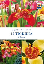 Tigridia Mixed Lifestyle Collection Bulbs