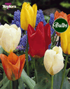 Emperor Tulips Mixed - Bulk Tulip Bulb Bags