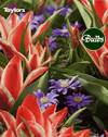Fairy Tale - Tulip Bulb Combinations