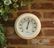 White Antique Thermometer