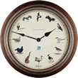 RSPB Under Threat Birds Wall Clock