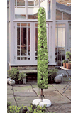 Large Parasol Cover - Evergreen