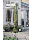 Large Parasol Cover - Long Grass