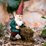 Garden Gnomes - Grow Your Own Gnome