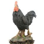 Black Cockerel - Resin Garden Ornament