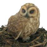 Garden Friends Owl - Resin Garden Ornaments