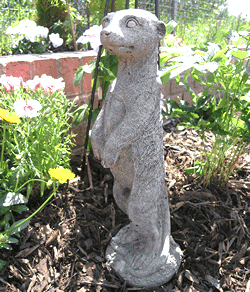 Meerkat Stone Garden Ornament Statue