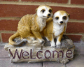 Welcome Meerkats Garden Ornament in Polyresin