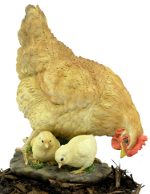 Buff Pecking Hen and Chicks - Resin Garden Ornament