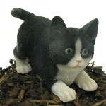 Pet Pals Playful Black and White Kitten - Resin Garden Ornament